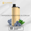 ALIBARBAR INGOT 9000 Puffs Blueberry Blast