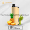 ALIBARBAR INGOT 9000 Puffs Kiwi Pineapple