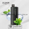 ZLOADR V9000 Dynamic Mint