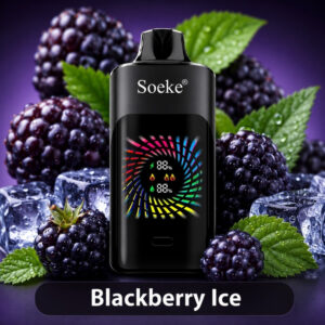 SOEKE S9 28000 Puffs Blackberry Ice