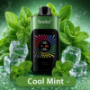 SOEKE S9 28000 Puffs Cool Mint